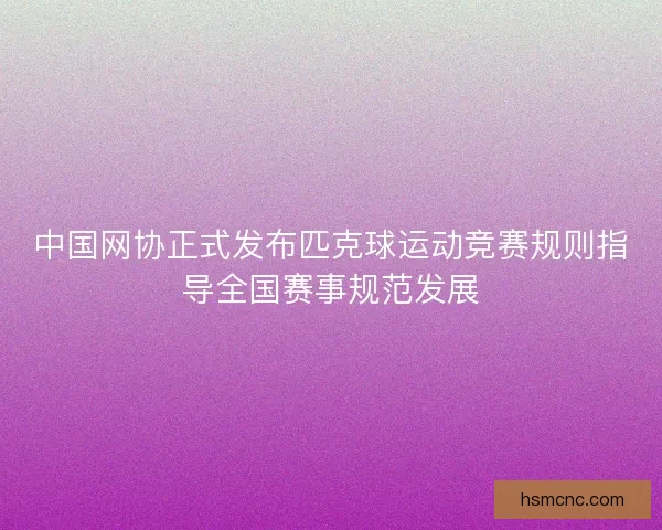 中国网协正式发布匹克球运动竞赛规则指导全国赛事规范发展