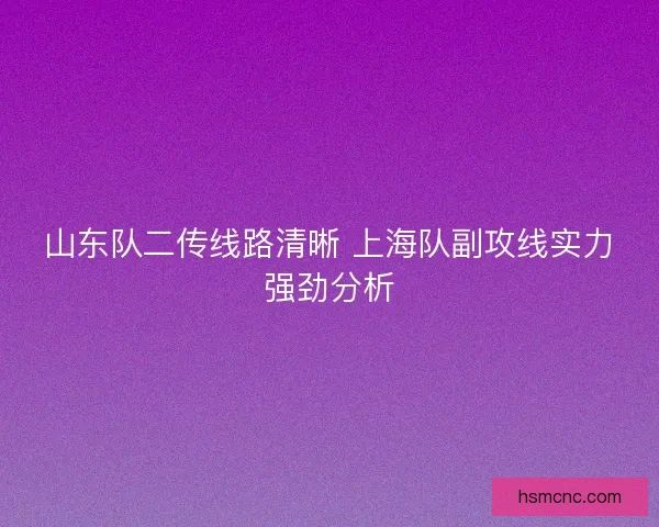 山东队二传线路清晰 上海队副攻线实力强劲分析